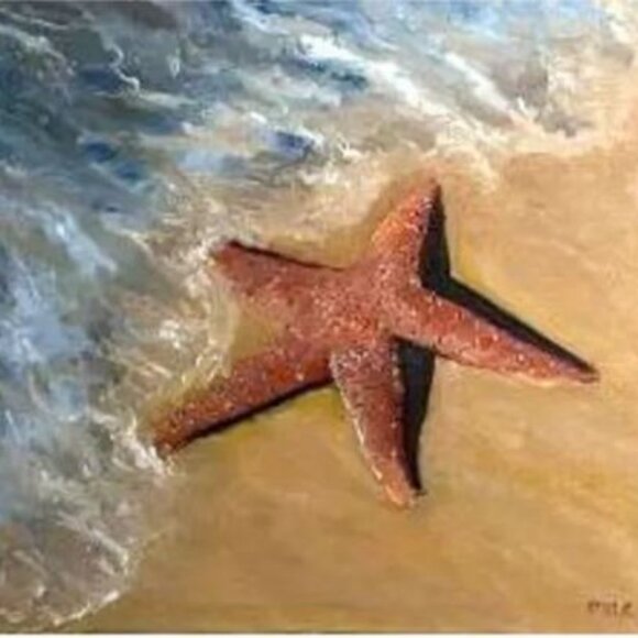 Sea Stars - Picture 1 of 6